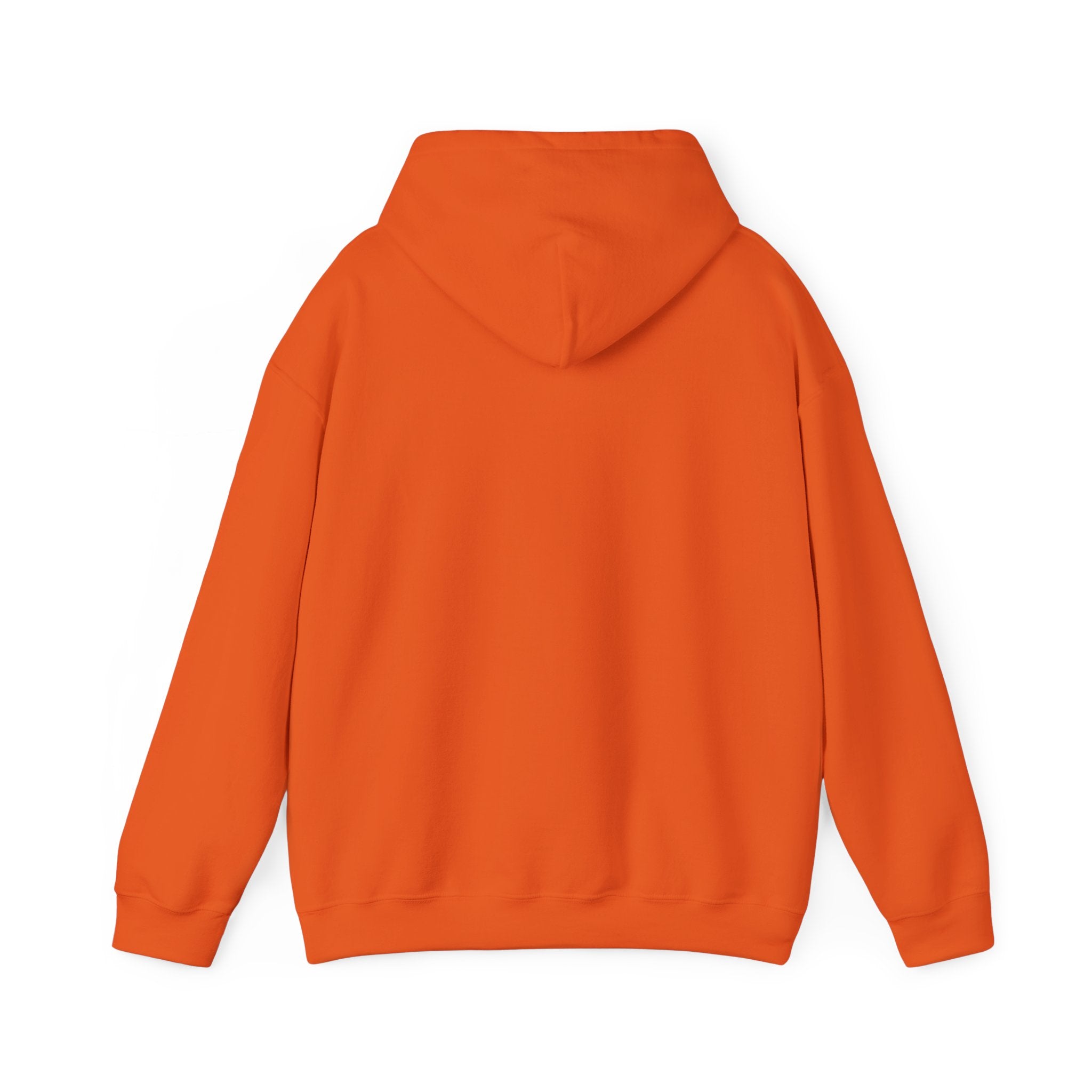 "I Survived" Hoodie